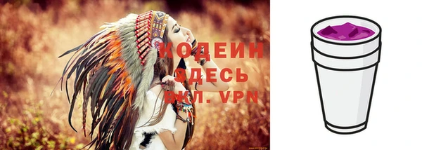 бошки Лабытнанги