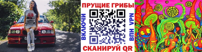 Купить  Инза  Псилоцибиновые грибы Cubensis 